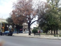 Villa c quercia secca