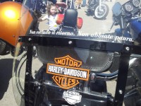 Harley