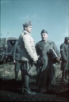 19379_19379