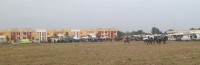 fiera animali