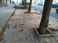 foglie strada