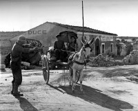 Comiso, Sicily, July 20th, 1943.