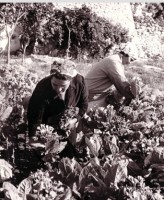 le_tabacchine - foto_franco_de_vito