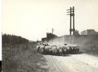 Masseria Acquaro