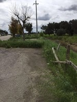 erbacce via brodolini