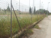 campetto tennis manfredonia1