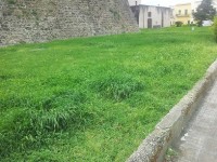 erbacce castello