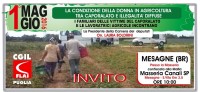 Senza titolo-1