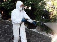 1272350-disinfestazione-200x150