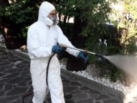 1272350-disinfestazione-200x150