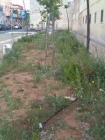 erbacce via Sasso