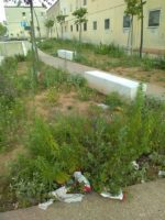 erbacce via Sasso3