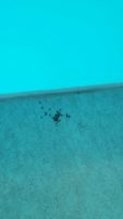 IMG-20160705-WA0005