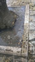 acqua e aiuole in villa