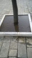 aiuole annaffiate