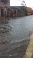 via-palmanova