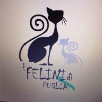 felini0