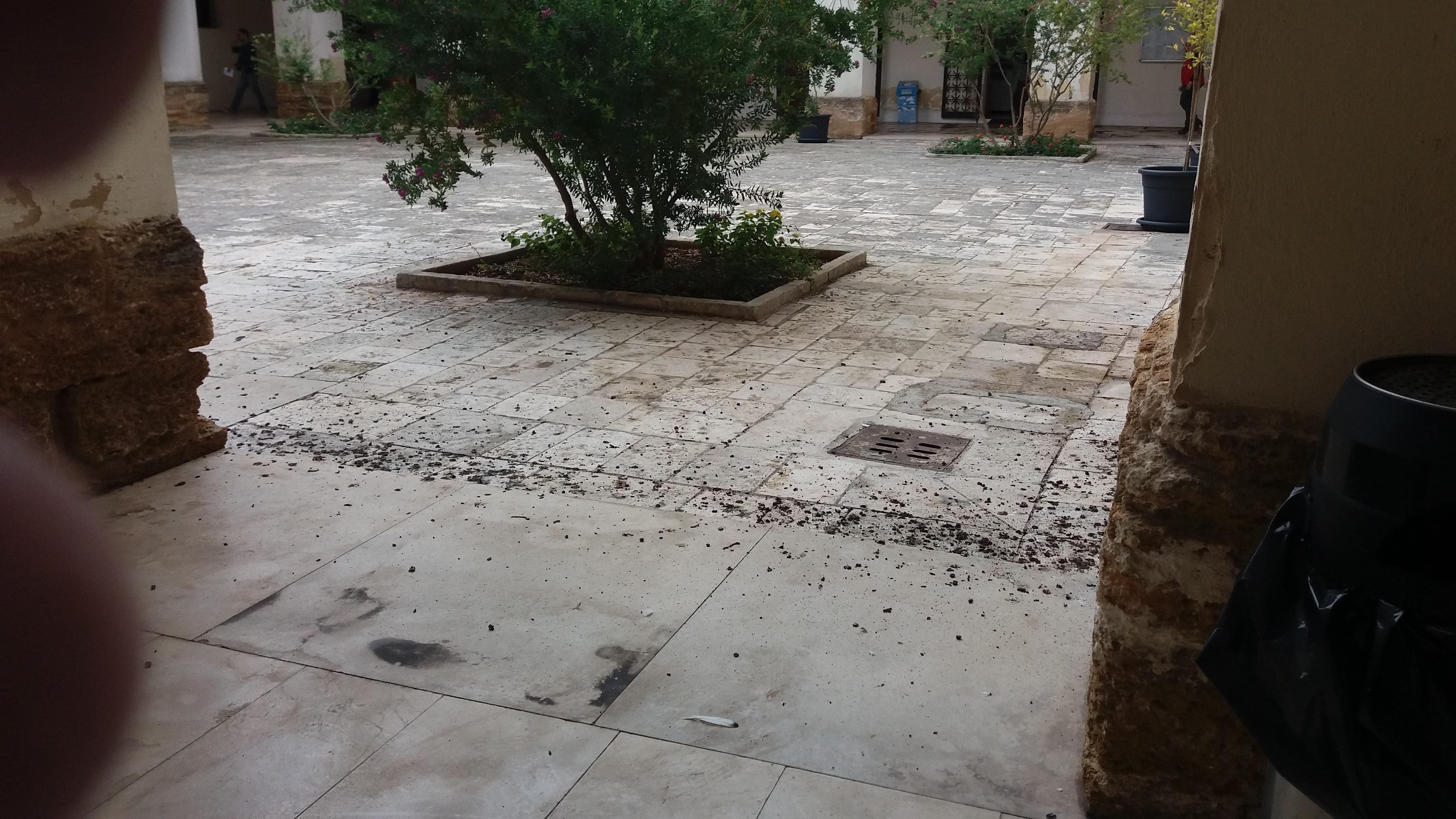 municipio-sporco1