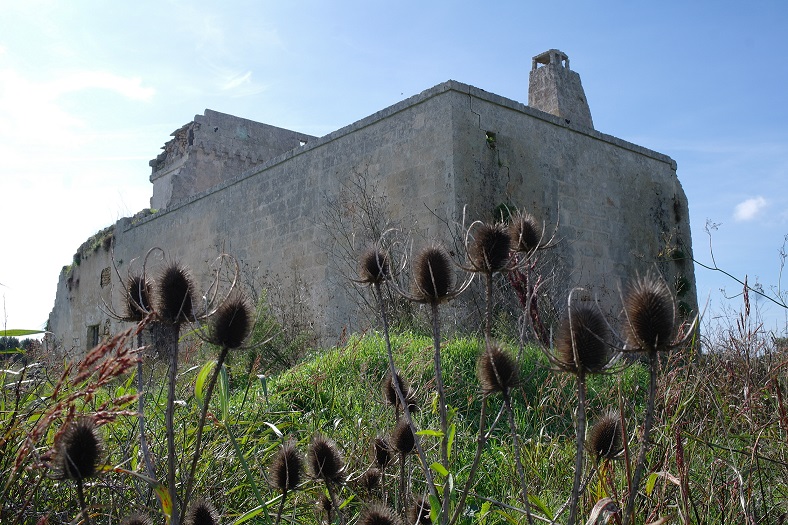 immagini1