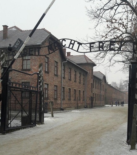 viaggio della memoria1