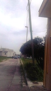 palo telecom