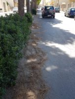 aghi viale indipendenza
