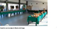 sala di vetro potì