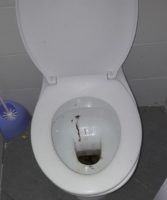 bagno parco potì