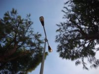 lampioni viale indipendenza