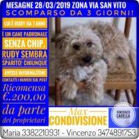 Cagnolino Rudy
