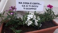 la foto del giorno