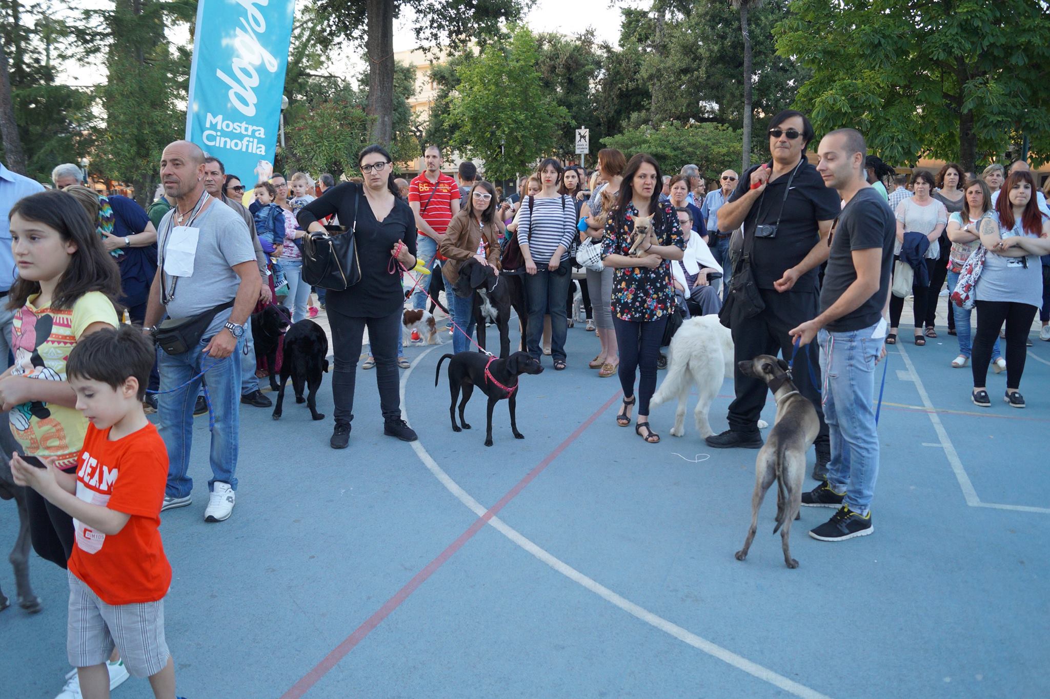 13268411_796937017074753_3112190068529943330_o