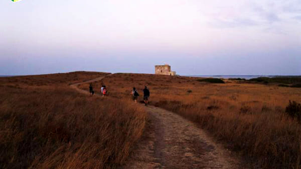 torre guaceto-8 (1)