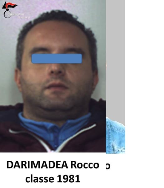 Rocco Darimadea