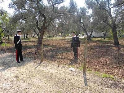 carabnieri camòagne
