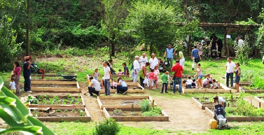 Hortus 20181