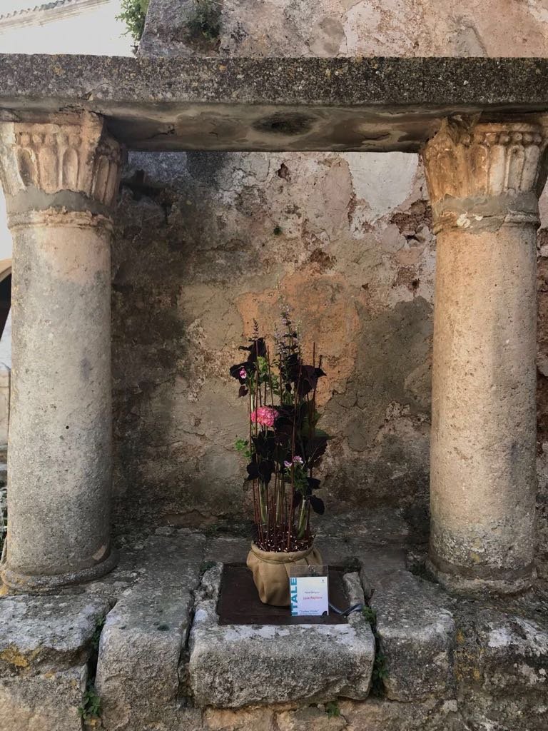 Pagliara3