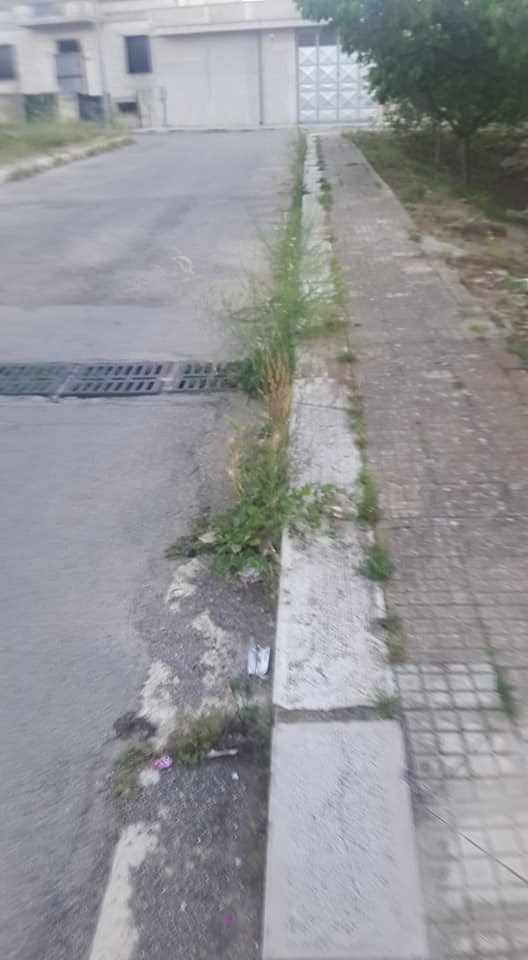 erba piazza prtini