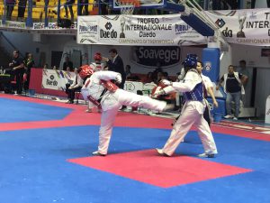taekwondo2