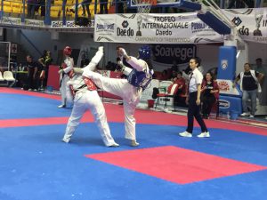 taekwondo3