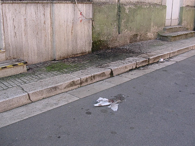 DSCN1261