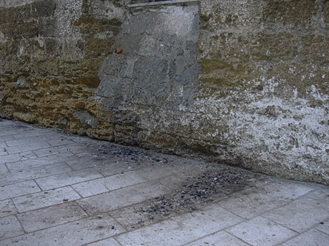 DSCN1268