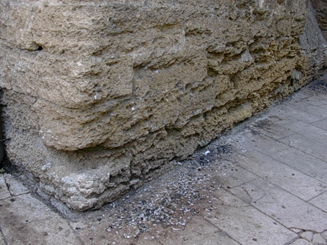 DSCN1272