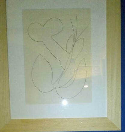 Picasso foto 3