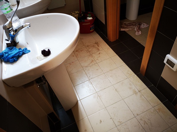 Bagni Piazza Commestibili1