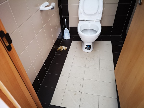 Bagni Piazza Commestibili2
