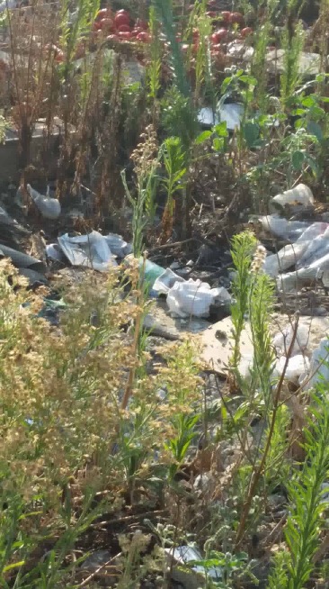CCA8C858-E14E-4839-AC8B-3830C308C02B