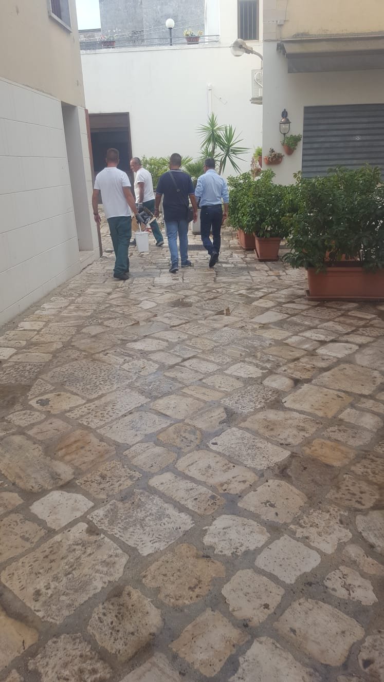 derattizzazione c storico2
