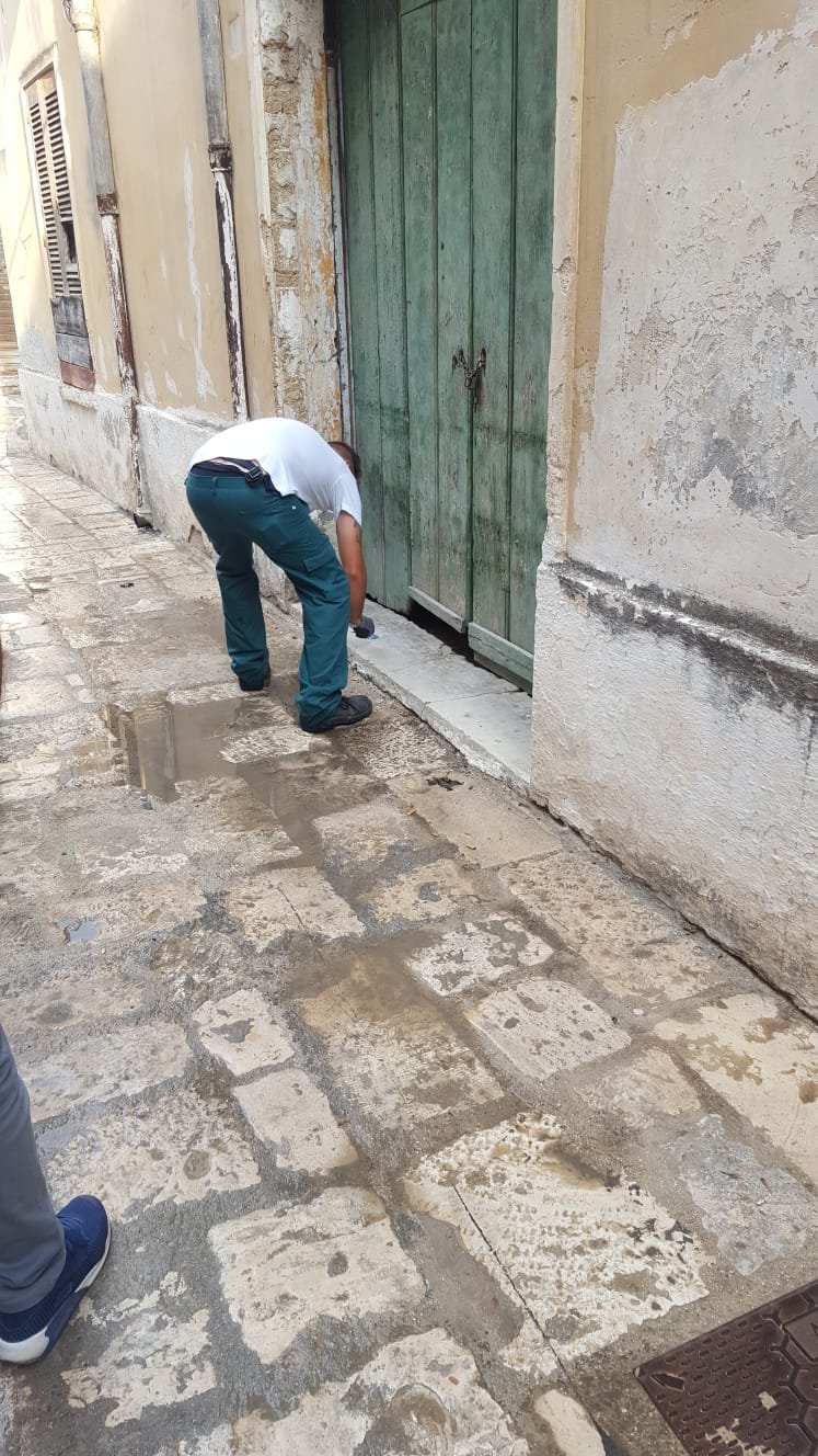 imderattizzazione c storico0g-20180822-wa00038506819259272668050