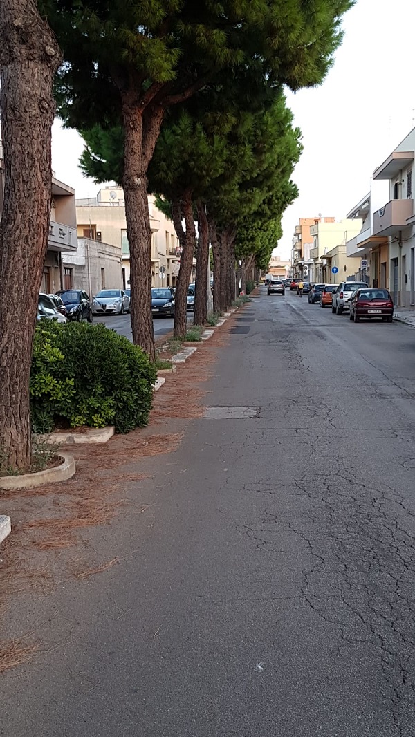 viale indipendenRR